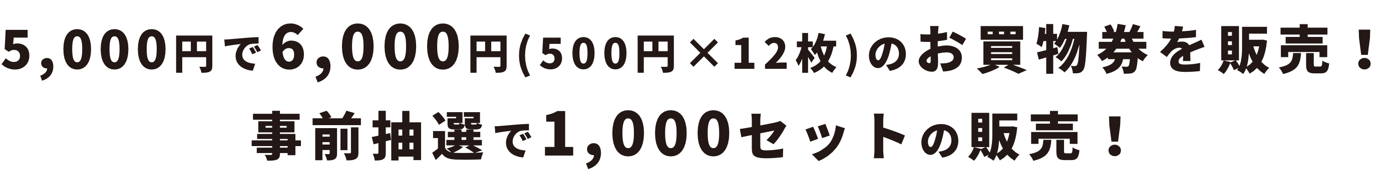 5,000円で6,000円分(500円×12枚)のお買物券販売！事前抽選で1,000セットの販売！